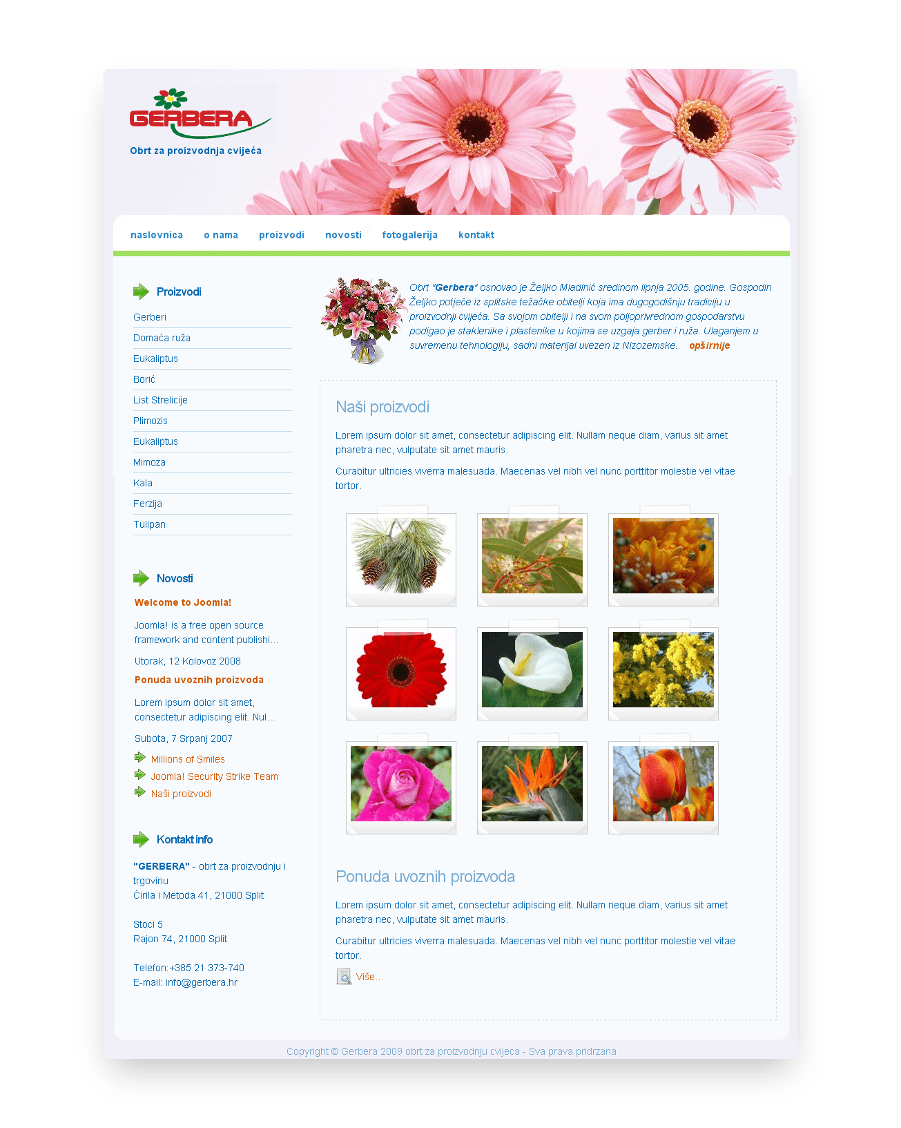 Gerbera